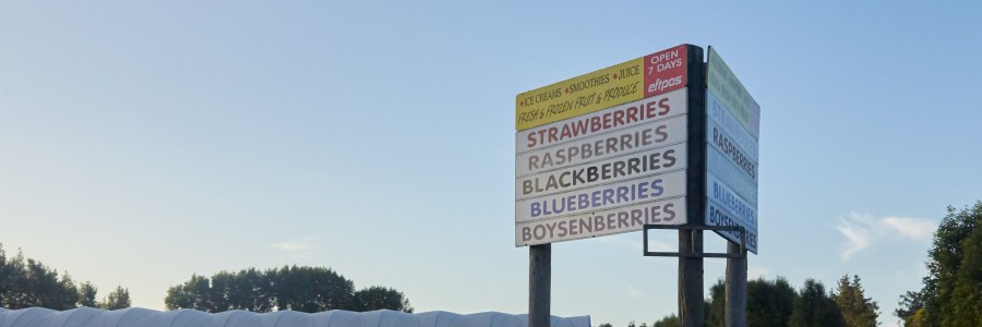 Ye Olde Berry Farm Tauwhare Road