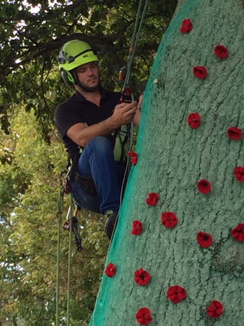 Arborist putting up the Anzac Poppy Display in Jack Foster Reserve