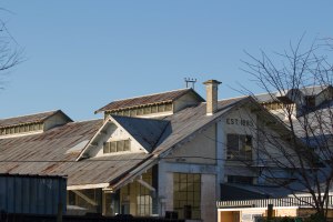 Matangi Dairy Factory