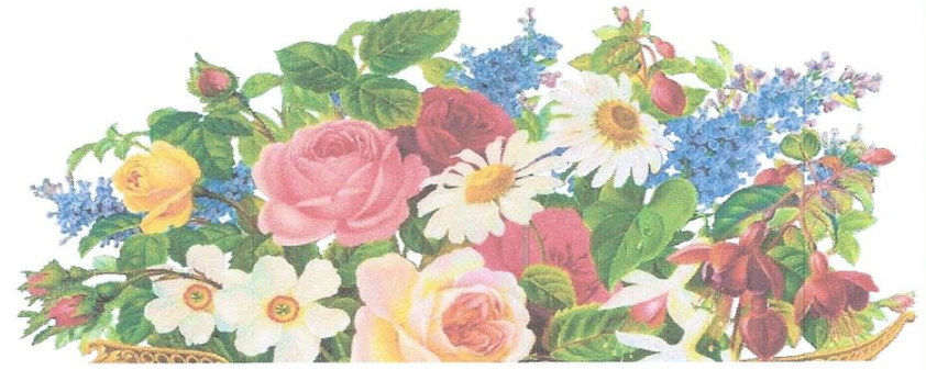 This image has an empty alt attribute; its file name is plantsale.png