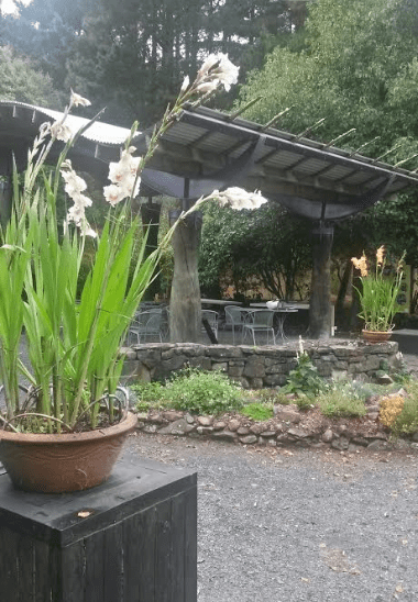 Screen Shot 2018-01-21 at 12.43.25 PM