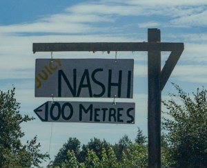 Nashi on 1B (Hoeka Road)