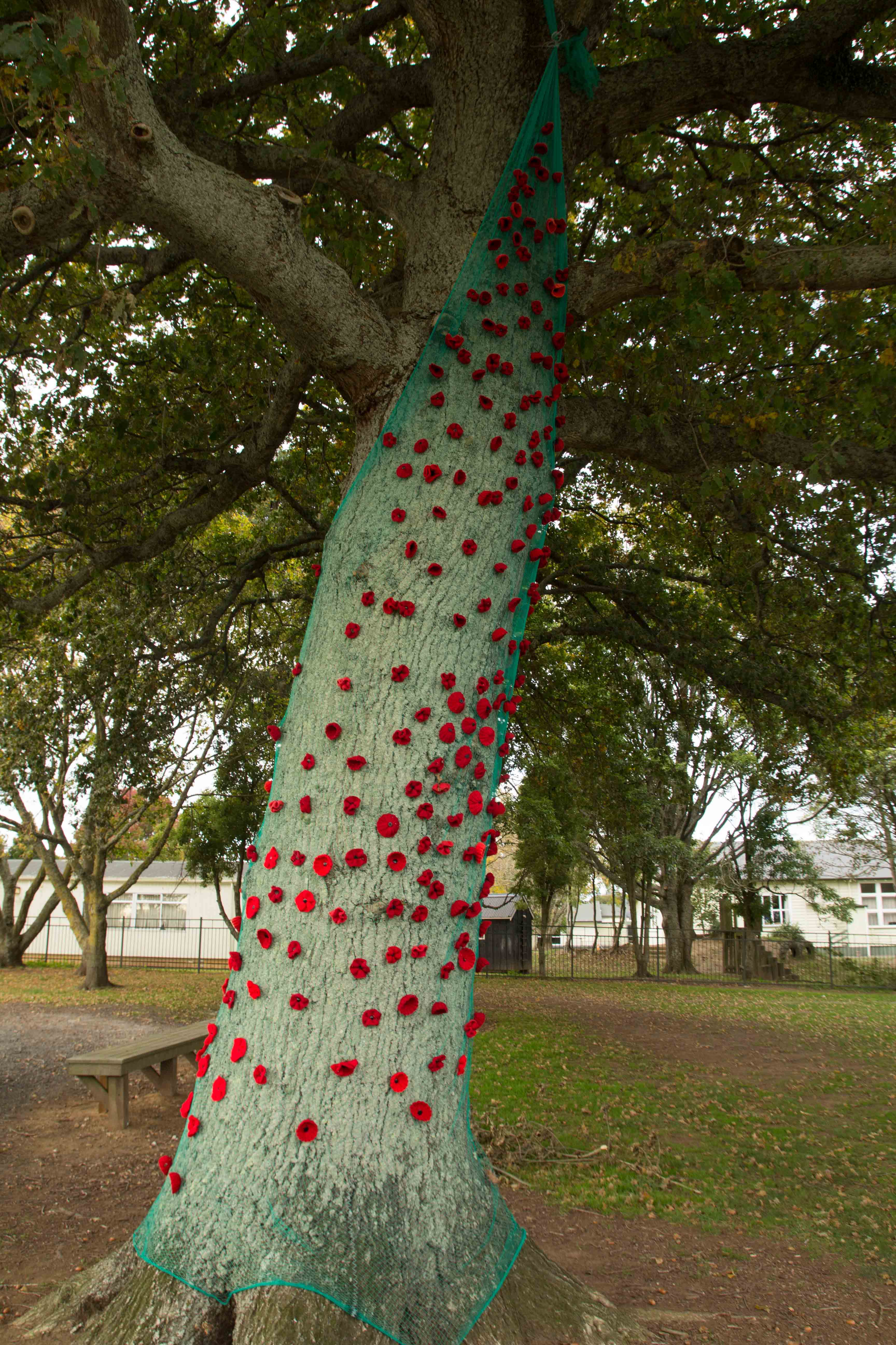 ANZAC Poppy Tree 2018