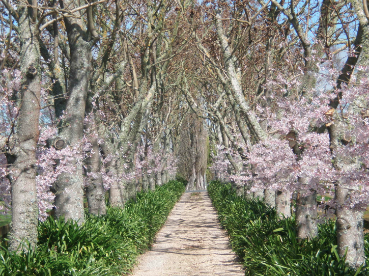 Screen Shot 2018-09-14 at 8.24.36 AM