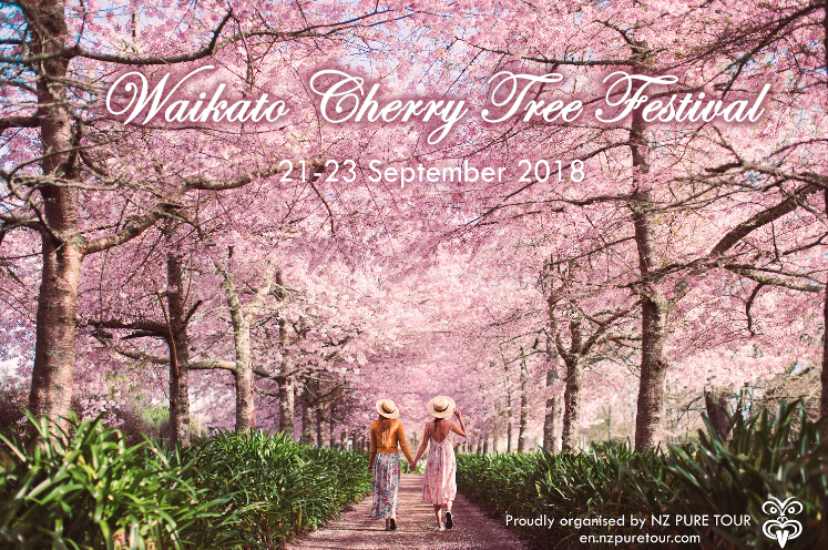 Screen Shot 2018-09-14 at 8.24.52 AM