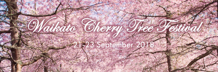 Waikato Cherry Tree Festival, Cherries in bloom