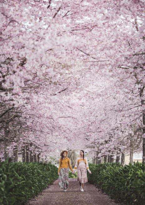 Screen Shot 2018-09-14 at 8.25.39 AM