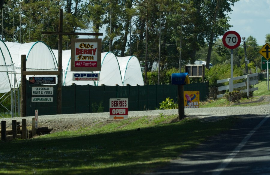Olde Berry Farm Opens for season Nov 2018