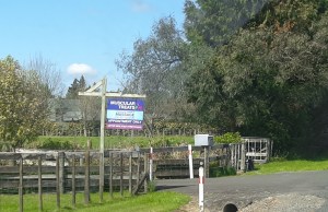 Muscular Treats Massage on Hoeka Road